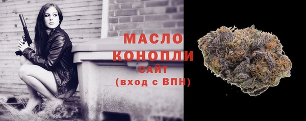 сатива Балахна