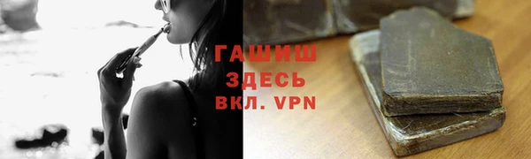 сатива Балахна