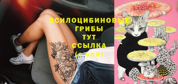 МДПВ Баксан