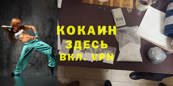 сатива Балахна