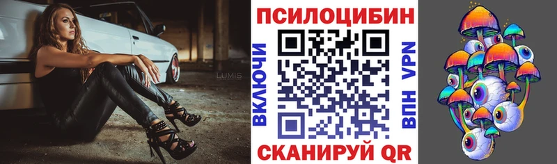 закладка  Опочка  Галлюциногенные грибы Magic Shrooms 